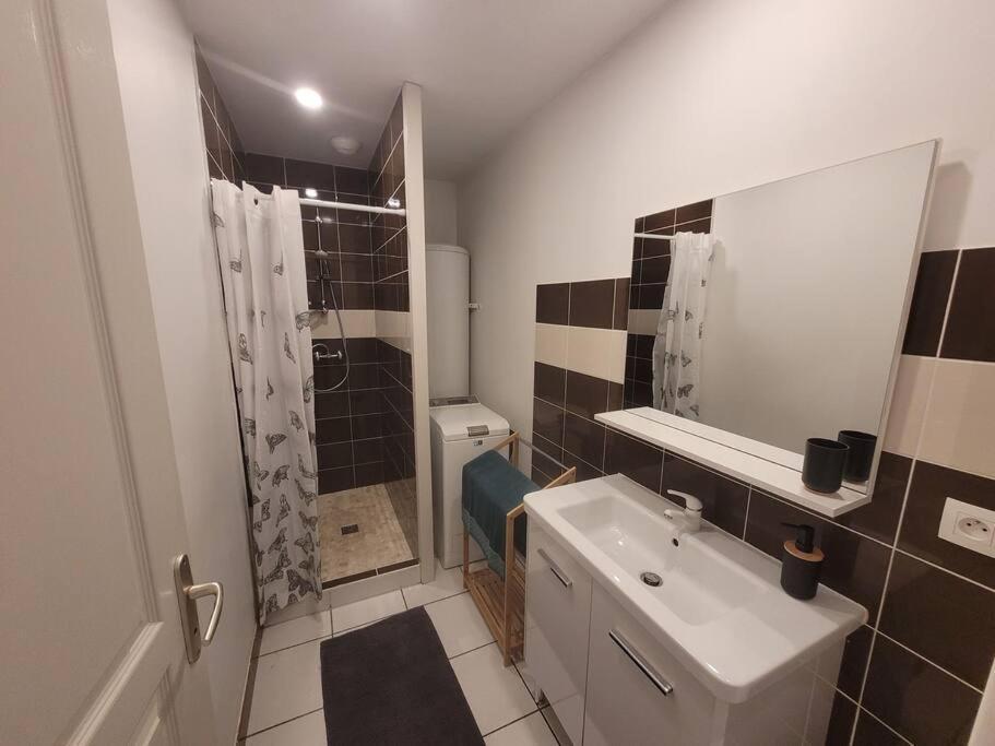 Appartement Sur La Place De Poncin 外观 照片