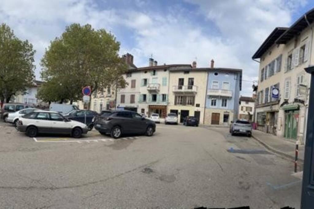 Appartement Sur La Place De Poncin 外观 照片